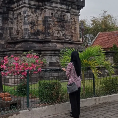 Fani Rahmawati