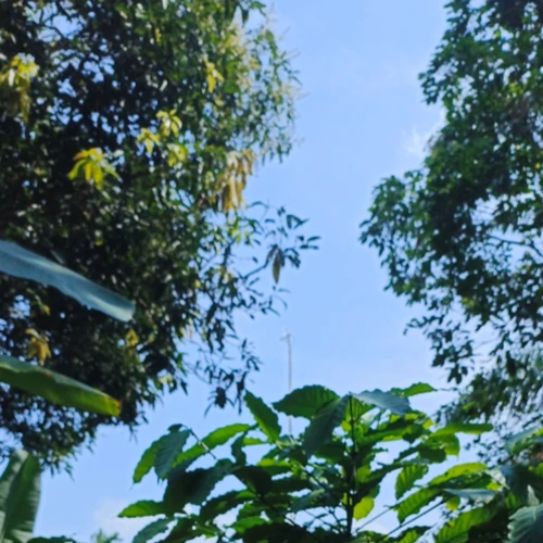 Sumahir Hidayanto