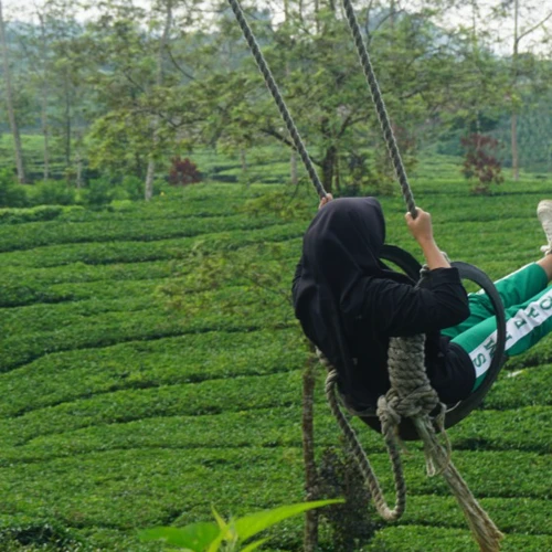SMKS Pelita Al Quran Wonosobo-PAQ Media 