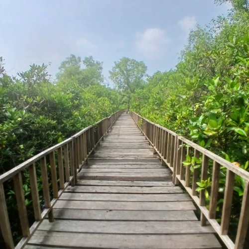 Muhammad Hafidz Aryasatya